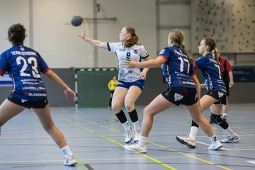 Bild 15 - wBJ HTS/BW96 Handball - Niendorfer TSV : Ergebnis: 27:27
